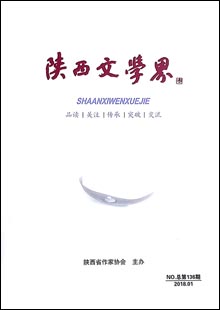 《陜西文學(xué)界》 《陜西文學(xué)界》是與中央級(jí)文化單位、全國(guó)各省文聯(lián)、作協(xié)交流，覆蓋陜西省、市、縣政界主要領(lǐng)導(dǎo)和文聯(lián)負(fù)責(zé)人、省內(nèi)知名高校和大企業(yè)、全省作家的具有高端讀者群、影力廣泛的文學(xué)通訊、交流雙月內(nèi)刊，于1979年創(chuàng)刊，原名為《文學(xué)簡(jiǎn)訊》，后更名為《陜西文學(xué)界》，16開(kāi)80碼，內(nèi)容豐富……[詳細(xì)]