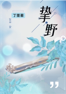丁墨《摯野》 發(fā)表網站：云起書院 《摯野》將音樂筑夢與愛情圓夢巧妙地結合起來，表現當代青年在喧囂生活中對愛情的執(zhí)著與堅守。作品在浪漫的人生況味中隱含了積極的思想意義，情節(jié)設置出人意料又合情合理，敘事嫻熟，以獨特的浪漫意味在都市愛情寫作中自成一格。	