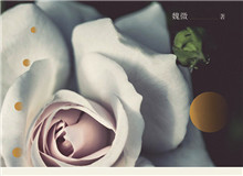 見(jiàn)言讀書(shū)會(huì)｜“以心證史”：魏微小說(shuō)研讀她能深入每個(gè)人的內(nèi)心世界去，去體悟、感受人物的心靈世界……[詳細(xì)]