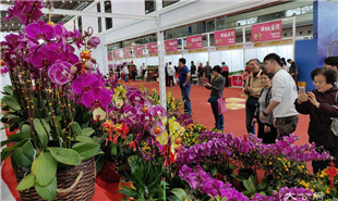 靠花卉引客，也靠“花外留客”