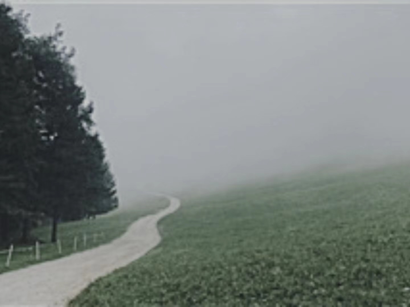 【輯一】南部山區(qū)：有時(shí)在大風(fēng)中，群山似乎在奔跑走在山間公路上/山崖在左，溪水在右/轉(zhuǎn)過(guò)兩座山，山崖到了右邊，溪水來(lái)到左邊[詳細(xì)]