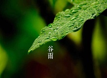 《谷雨》過了清明，就是谷雨。村莊里，田野里，村路上，草木間，人家的院落里，人們的臉上，到處都是春天的閑意思了。[詳細(xì)]