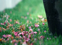 《雨水》轉(zhuǎn)眼就過了正月十五。芳村這地方，過了十五，才算是過了年。老輩子的風(fēng)俗，十五看燈，十六游百病。[詳細(xì)]