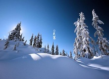 《大寒》這個時節(jié)，天短，日頭地兒就顯得格外金貴。一進臘月，過事兒的多了起來。[詳細(xì)]