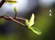 《立春》大年三十這一天，天難得放晴了。村子里到處明晃晃的，陽光映照著雪地，仿佛琉璃世界。[詳細(xì)]