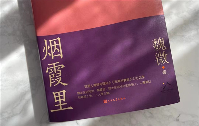 【特約評(píng)論】魏微：抒情為表，史詩為里