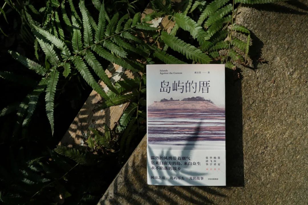 “厝”在閩南語(yǔ)中意為“房子”  龔萬(wàn)瑩/著  大方丨中信出版集團(tuán)
