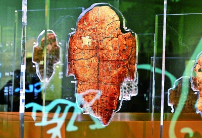 河南安陽(yáng)殷墟博物館新館內(nèi)展出的刻辭卜甲。 新華社記者 李安攝 