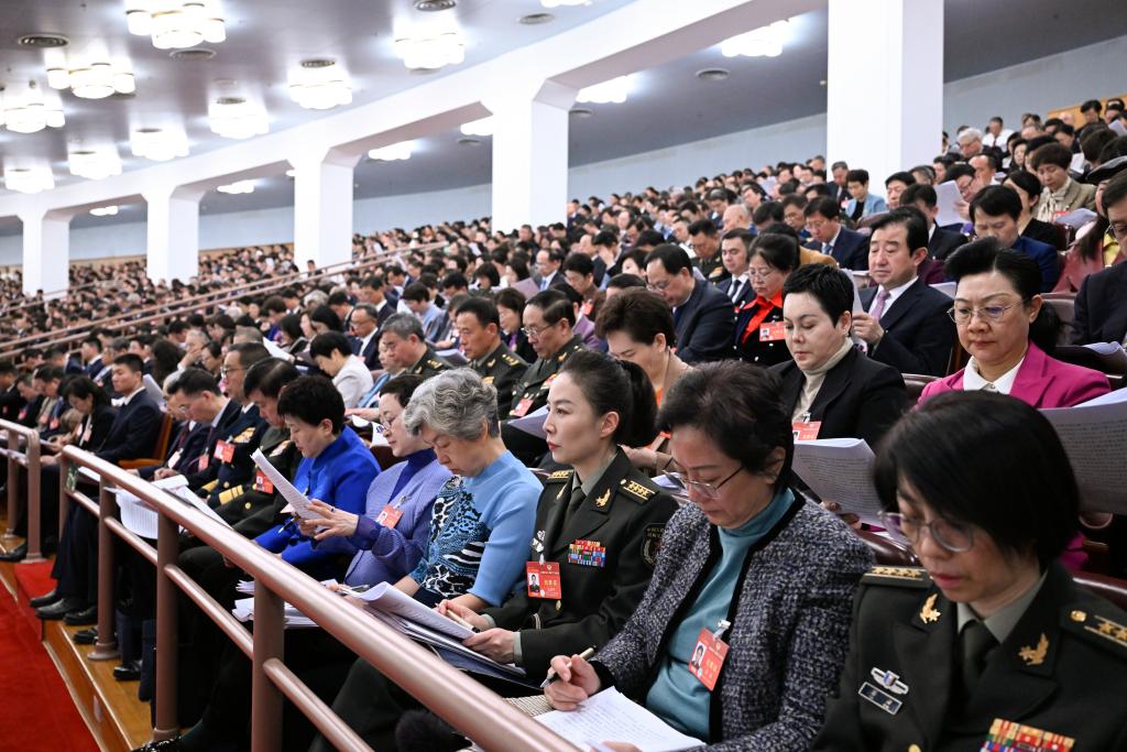 3月5日，第十四屆全國(guó)人民代表大會(huì)第二次會(huì)議在北京人民大會(huì)堂開幕。這是全國(guó)政協(xié)委員列席大會(huì)。新華社記者 申宏 攝