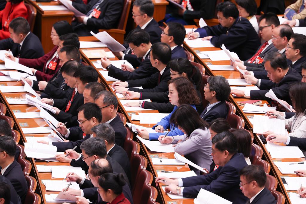 3月8日，十四屆全國人大二次會議在北京人民大會堂舉行第二次全體會議。新華社記者 王婧嬙 攝