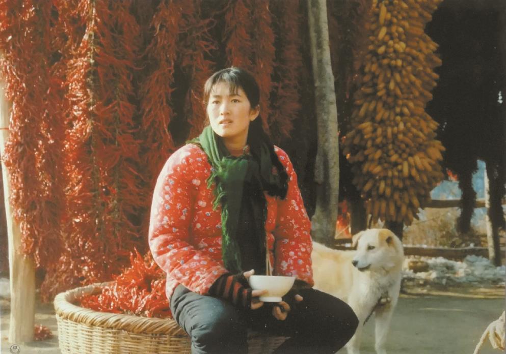 劉恒擔(dān)任編劇的電影《秋菊打官司》曾獲得第49屆威尼斯電影節(jié)金獅獎、第13屆中國電影金雞獎最佳故事片獎等獎項。