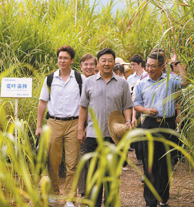 　　圖為電視劇《幸福草》劇照。 　　片方供圖