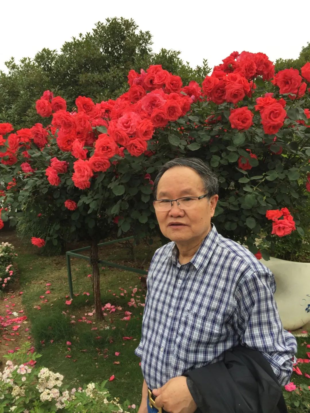 【劉慶邦，1951年生于河南沈丘。著有長篇小說《斷層》《遠方詩意》《平原上的歌謠》《紅煤》《遍地月光》《黑白男女》《女工繪》《花燈調(diào)》等十四部，中短篇小說集、散文集《走窯漢》《梅妞放羊》《遍地白花》《響器》《黃花繡》《到處有道》等七十余部。《劉慶邦短篇小說編年》十二卷。短篇小說《鞋》獲第二屆魯迅文學(xué)獎。中篇小說《神木》《啞炮》獲第二屆和第四屆老舍文學(xué)獎。中篇小說《到城里去》和長篇小說《紅煤》分別獲第四屆、第五屆北京市文學(xué)藝術(shù)獎。長篇小說《遍地月光》獲第八屆茅盾文學(xué)獎提名。長篇小說《黑白男女》獲首屆吳承恩長篇小說獎。長篇小說《家長》獲第二屆南丁文學(xué)獎。長篇散文《陪護母親日記》獲第二屆孫犁散文獎。曾獲北京市首屆德藝雙馨獎，首屆林斤瀾杰出短篇小說作家獎，第十屆冰心散文獎。獲《北京文學(xué)》獎十五次；《十月》文學(xué)獎七次；《小說月報》百花獎八次等。根據(jù)其小說《神木》改編的電影《盲井》獲第53屆柏林電影藝術(shù)節(jié)銀熊獎。1990年加入中國作家協(xié)會，為中國煤礦作家協(xié)會名譽主席，北京作家協(xié)會原副主席，一級作家，北京市第十、第十一、第十二屆政協(xié)委員，中國作家協(xié)會第五、第六、第七、第八、第九屆全國委員會委員。】