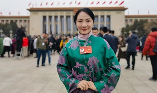 全國政協(xié)委員、山西藝術(shù)職業(yè)學(xué)院黨委委員、副院長苗潔