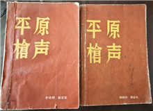 從未遠(yuǎn)去的“平原槍聲”　　合上《平原槍聲》最后一頁(yè)，初聽(tīng)現(xiàn)實(shí)中肖張鎮(zhèn)這個(gè)地名，心頭不禁一震：莫不是小說(shuō)中的肖家鎮(zhèn)？[詳細(xì)]