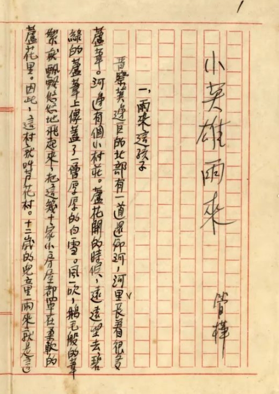 暗夜中的雨來(lái)，眼睛閃閃發(fā)亮　　在那場(chǎng)事關(guān)中華民族生死存亡的戰(zhàn)爭(zhēng)中，為了保家衛(wèi)國(guó)，華北平原涌現(xiàn)出許許多多的小英雄，而這之中，“小英雄雨來(lái)”是最為人們所熟知的英雄之一，而我們喜愛(ài)的這個(gè)“雨來(lái)”卻是作者管樺將眾多現(xiàn)實(shí)中的抗日小英雄“捏合”創(chuàng)作而成，一經(jīng)問(wèn)世便受到全國(guó)讀者的熱捧，直到現(xiàn)在。[詳細(xì)]