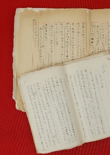 一份日記，如同顯微鏡下的“抗戰(zhàn)長(zhǎng)城”　　1939年，作家戰(zhàn)地訪問(wèn)團(tuán)北上前線途中，盡管危險(xiǎn)重重，又緊張又勞累，王禮錫仍然想盡辦法詳細(xì)記錄下訪問(wèn)團(tuán)的活動(dòng)和他自己的生活，或許他未曾想過(guò)這些文字會(huì)穿越戰(zhàn)火，歷經(jīng)風(fēng)風(fēng)雨雨八十余載，成為一把打開(kāi)抗戰(zhàn)歷史的特殊密鑰。[詳細(xì)]