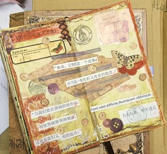 閱讀摘抄手賬，來(lái)源：讀者“朝夕昭奚”微博
