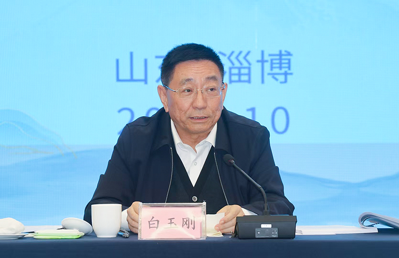 山東省委常委、宣傳部部長白玉剛作總結(jié)講話