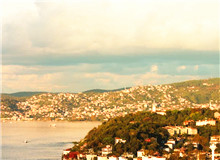 我的散文的生命力來自于田野調(diào)查　　蟋蟀叫著，兮兮兮。月影上來了，印在窗戶上，如一朵潔白的窗花。[詳細(xì)]