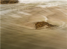 “抵抗遺忘”是對(duì)寫作者的最高要求　　對(duì)傅菲而言，“元”是周而復(fù)始之始，代表初心，“燈”乃光明之源……[詳細(xì)]