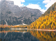 在自然文學(xué)和生態(tài)文學(xué)之間　　在自然文學(xué)領(lǐng)域，我耗費(fèi)了大量時(shí)間和心血，但遠(yuǎn)遠(yuǎn)談不上“中國(guó)的《瓦爾登湖》”……[詳細(xì)]