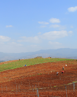 徐貴祥：土地的青春