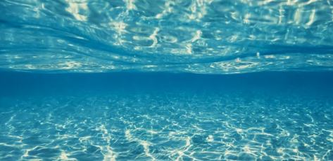 網(wǎng)絡(luò)文藝的魅力在于打破邊界、匯聚力量