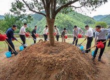 浙江臨安2022年6月23日，中國(guó)作家“深入生活、扎根人民”新時(shí)代文學(xué)實(shí)踐點(diǎn)在杭州臨安區(qū)授牌。[詳細(xì)]