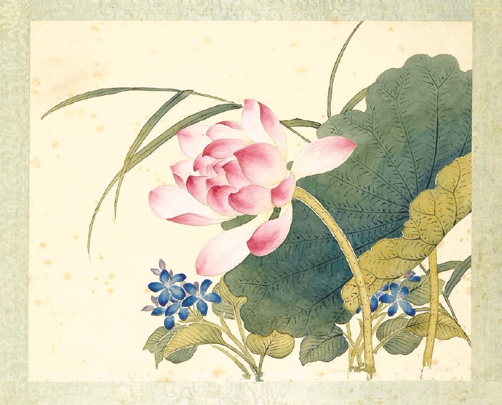 清沈振麟《十二月花神冊(cè)》之蓮花