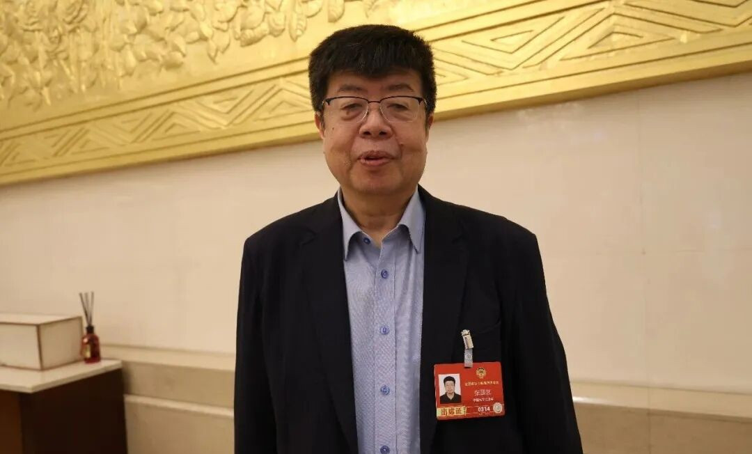 全國政協(xié)委員、北京大學中文系教授張頤武